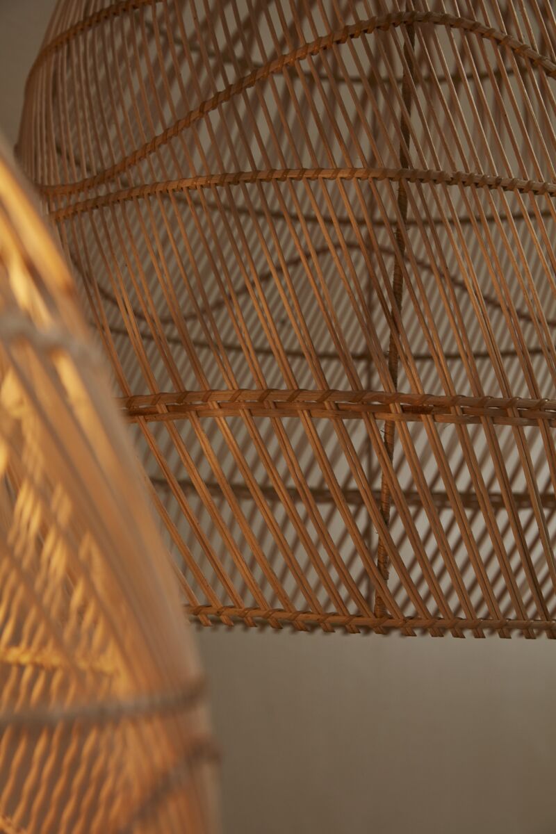 Alondra Light Shade