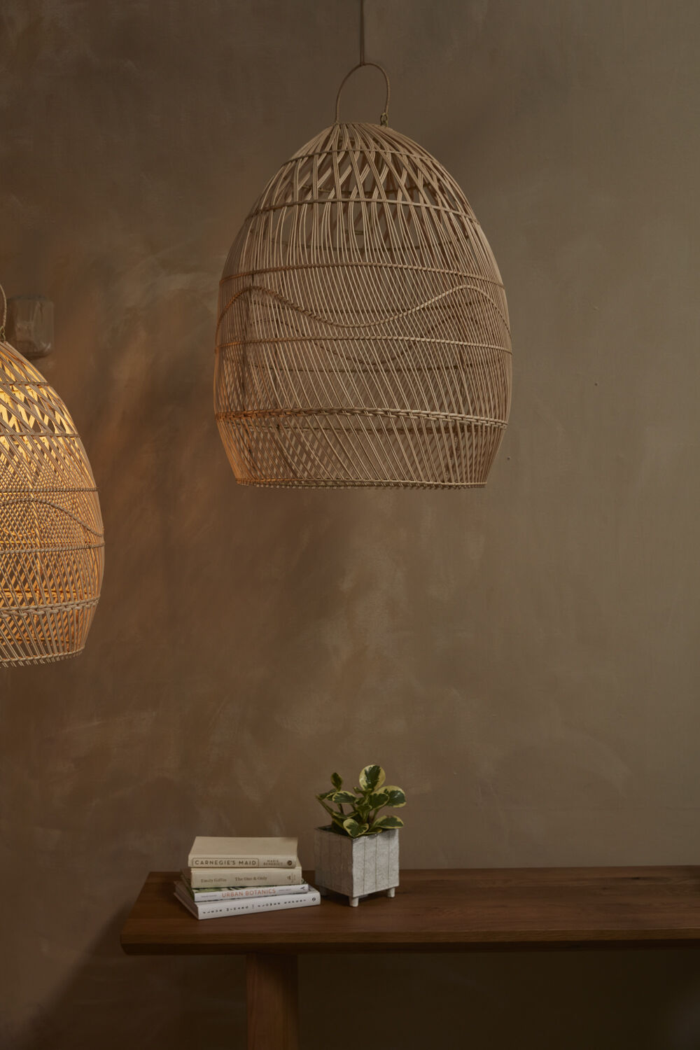 Alondra Light Shade