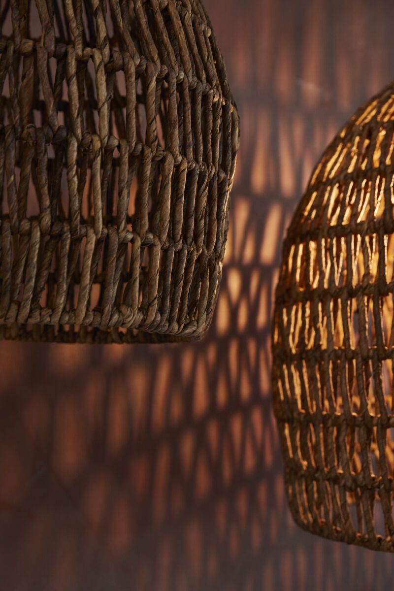 Evenia Light Shade