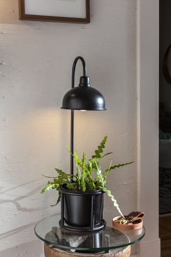 Kira Planter Collection