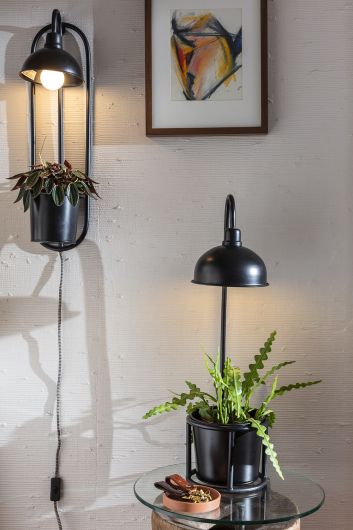 Kira Planter Collection