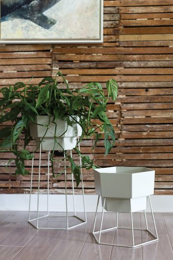 Lore Plant Stand